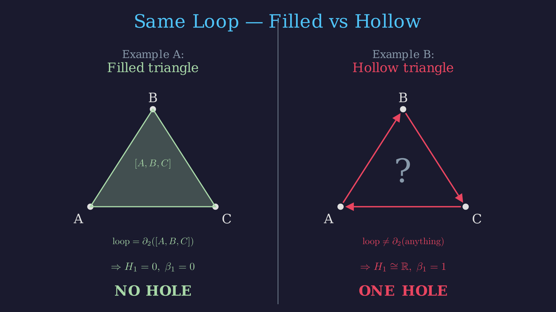 Two homologous cycles on the torus: same hole, different paths