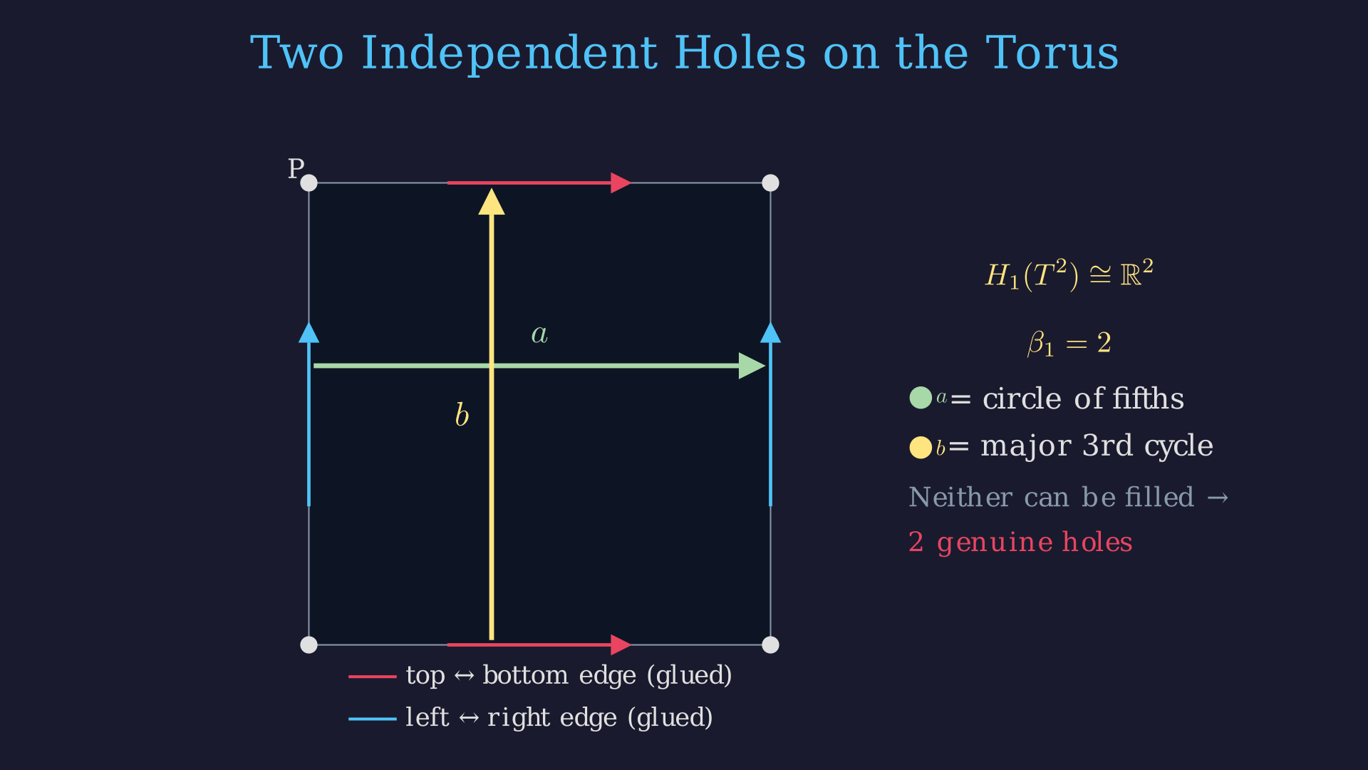 The Tonnetz torus: two non-contractible loops, Betti numbers (1,2,1)